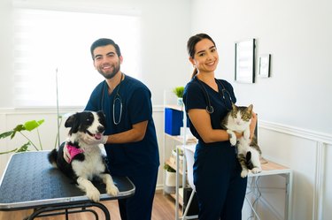 Happy veterinarians carrying a dog and a cat at the hospital