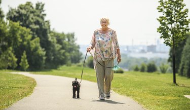 Senior Woman with Pet Dog outside in nature with poodle