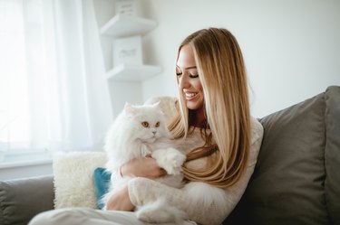 Woman holding fluffy white cat on a couch