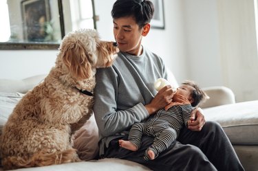 Young Asian father feeding his baby with baby bottle while his dog sitting with them