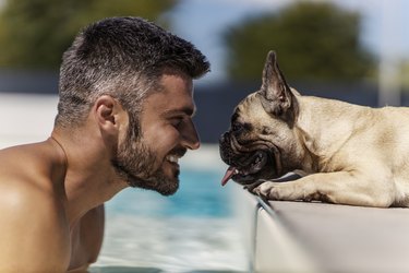 The dog and its owner are at the pool A smiling middle-aged man with a handsome face refreshes himself in the pool on a sunny summer day as he looks straight into the eyes of his dog lying by the pool