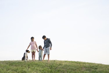 Siblings Standing on a Hill