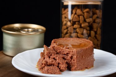 Canned soft pet food on dark background