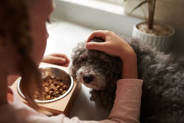 Girl Patting and Feeding Dog