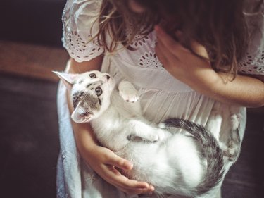 A young girl wearing a white dress holding a kitten. The kitten is curled up in her lap and looking up at her.