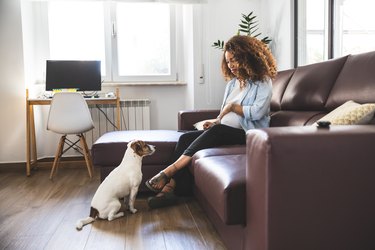 Young pregnant person with her or their dog in the living room.