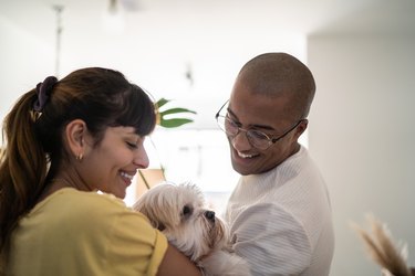 Two people showing affection to a small white dog