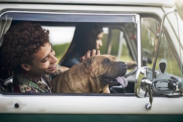 Young couple on road trip with dog