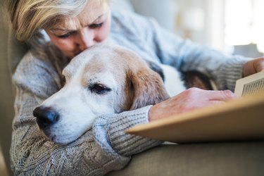 An active senior woman with a dog at home, reading a book.