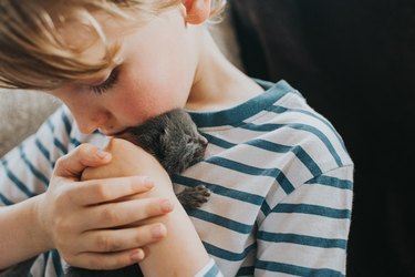 A child is lovingly holding a small gray kitten to his chest.