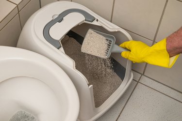 The hand of a man in a yellow glove is sifting his litter in a cat pot in the bathroom.