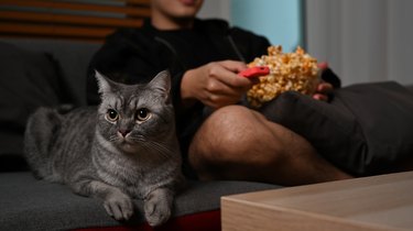 Happy man with remote control eating popcorn and watching movie in living room. Entertainment and leisure activity concept.