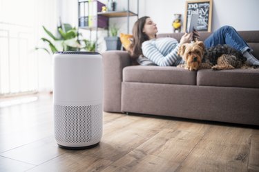 Young woman in living room setting up home air purifier.