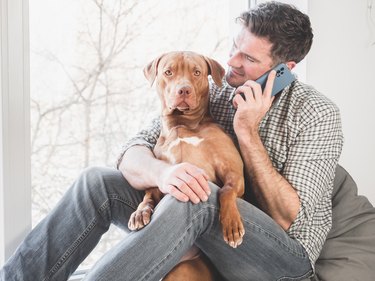 Man on phone while holding a brown dog
