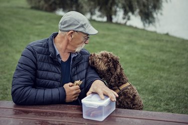 Stylish man enjoying a picnic with his dog