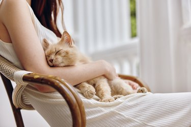 Midsection of Young Woman With Cat Sitting on Chair