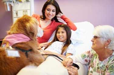 Young girl being visited in hospital by a dog.