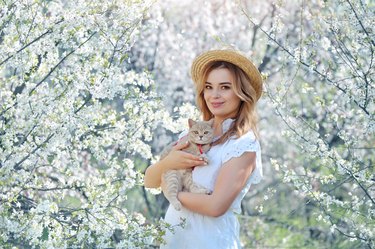 Beautiful woman holding kitten in hands against the blooming trees