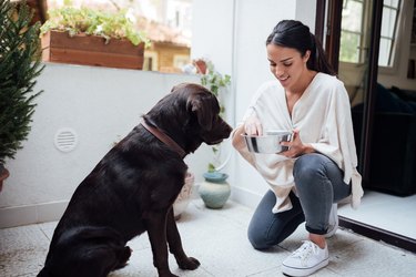 Attractive young woman training her pet dog