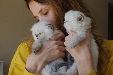 Woman Embracing Kittens At Home