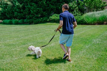 Man Runs With His Dog in Grass