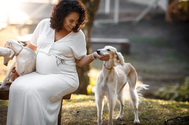 Pregnant person playing with her dog.