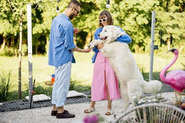 Stylish couple spend summer time at the backyard