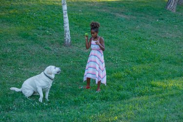 Little African Girl is Having a Lot of Fun With her Cute Dog.