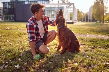 Premium Dog Waste Trash Can For Small/Medium Sized Dogs (FREE SHIPPING – Garbage  Can Fly Trap