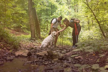 Young happy couple and their dog at hiking through the woods enjoying the sight. Two nature lovers in the mountain forest enjoy healthy walking through the nature.