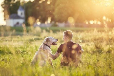 Man with his dog at sunset