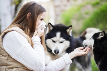 A woman sneezes and blows her nose into a napkin suffers from pet fur allergy