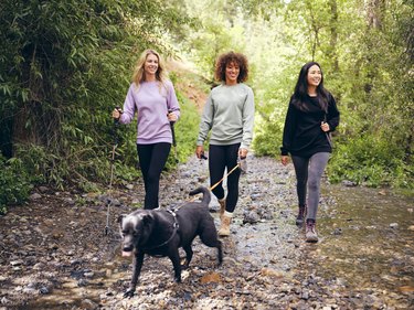 Group of Women Friends Hiking Outdoors