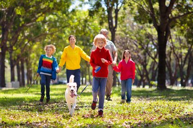 Family walking in autumn park. Fall fun.