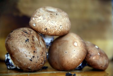 Selective focus of a group of mushrooms on wooden surface with earthy residue (Agaricus bisporus)