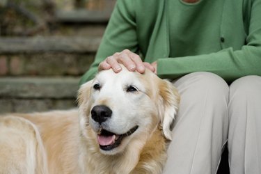 Labrador and owner