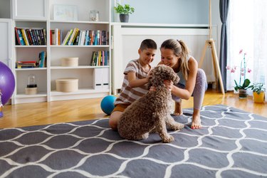 Playing With Dog After Home Workout