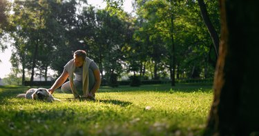 Relaxed man petting golden retriever. Playful dog chew leash lying on grass