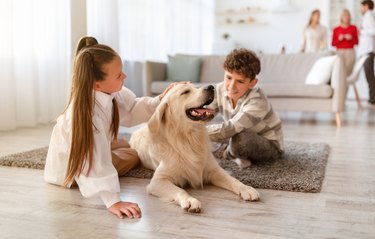 Two cute kids sitting on floor at home, petting golden retriever dog, their parents and granny on background