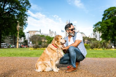 Mature man training golden retriever