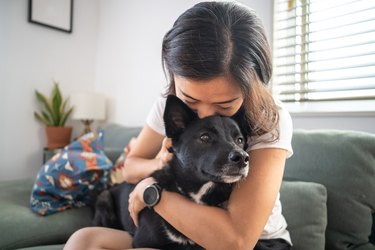 Young woman hugging dog and on living room sofa