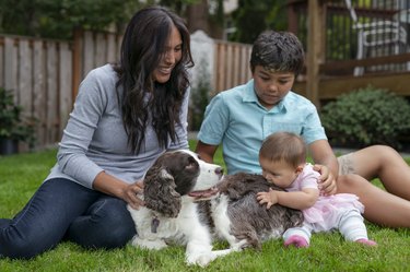A Beautiful Eurasian Mother and Two Children Playing with Pet Dog