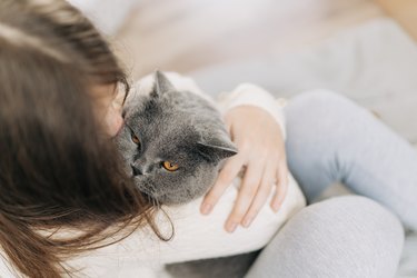 Beautiful asian girl kissing american shorthair cat on the bed