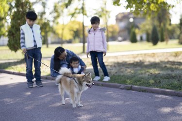 Walking the dog in the park