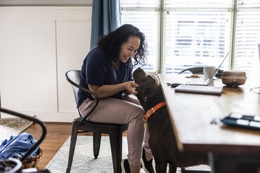 Woman working from home with her dog at dining room table