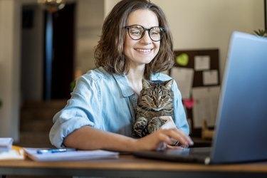 Happy young business woman working using laptop from home, sitting with pet cat in her arms