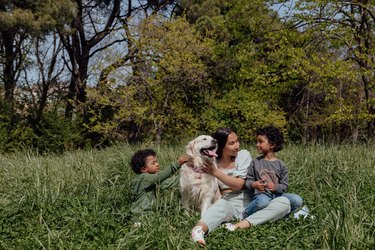 Woman and two children in a meadow with a golden retriever