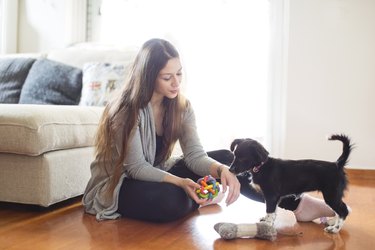 woman playing with toy with black dog on the floor