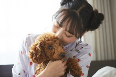 Young Asian woman in pajamas spending time with her pet