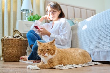 Female sitting on floor using smartphone, pet cat lying near owner